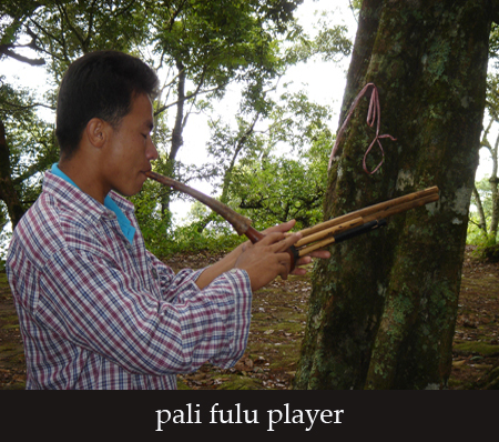 large pali fulu