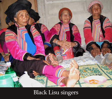 pali fulu player